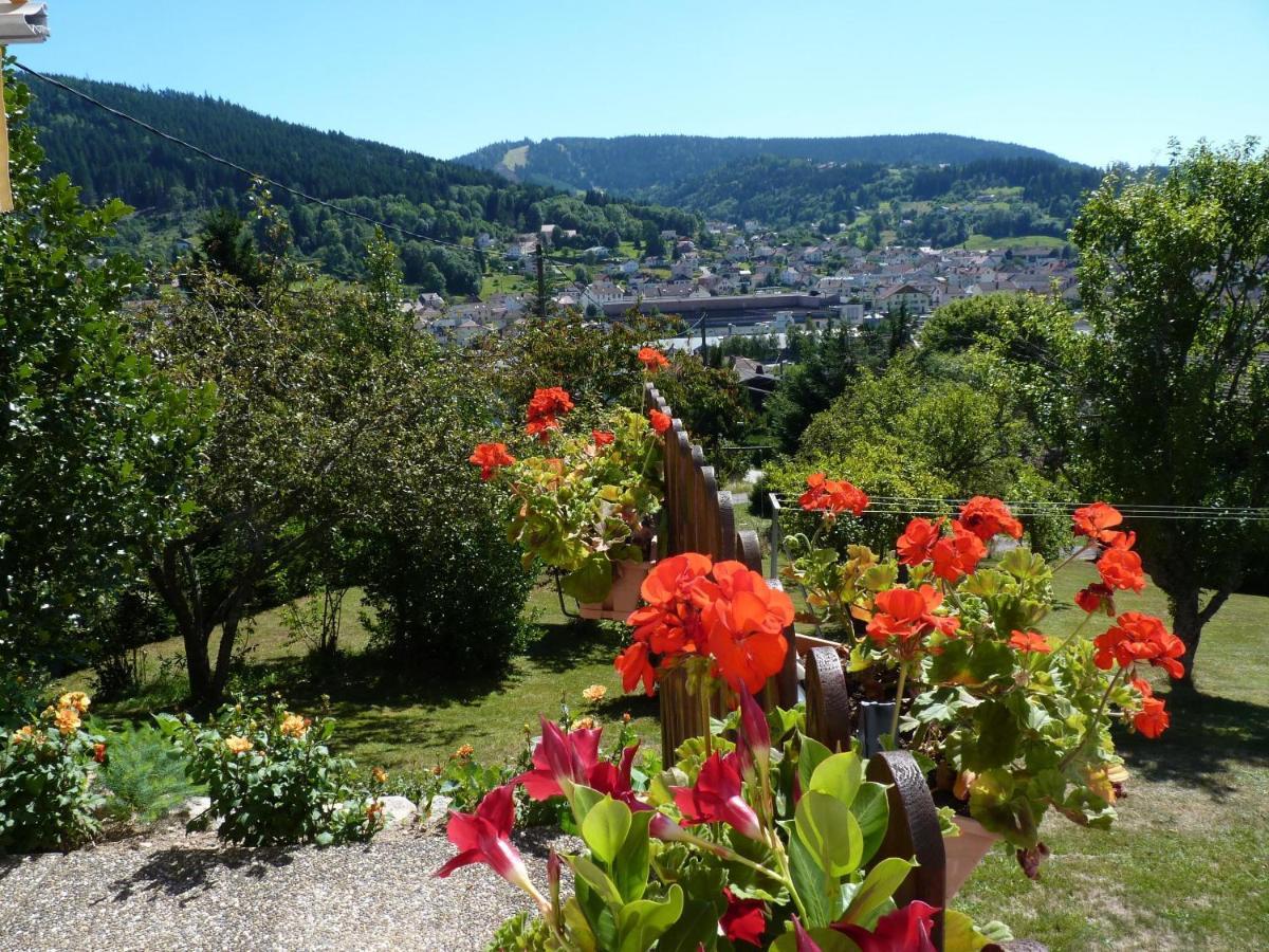 La Maison Bel'Air Gérardmer Buitenkant foto